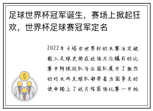 足球世界杯冠军诞生，赛场上掀起狂欢，世界杯足球赛冠军定名