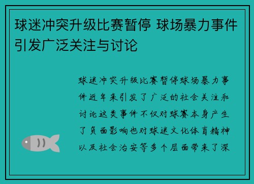 球迷冲突升级比赛暂停 球场暴力事件引发广泛关注与讨论