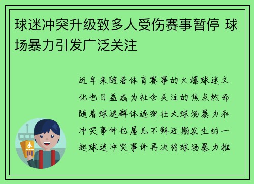 球迷冲突升级致多人受伤赛事暂停 球场暴力引发广泛关注