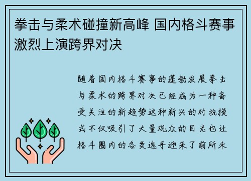拳击与柔术碰撞新高峰 国内格斗赛事激烈上演跨界对决